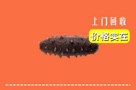 鄄城县回收海参