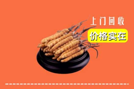鄄城县回收冬虫夏草